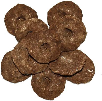 BSHF NEHA Indian cow dung badkulla special Holi festival