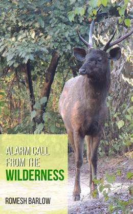 Alarm Call from the Wilderness