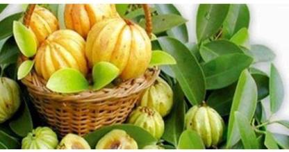 OhhSome Uppage Fruit Malabar Tamarind Fruit Seeds Seed