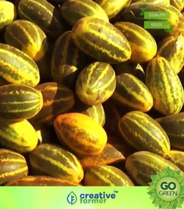 creative farmer Vegetable Seeds Kani Vellari Seeds - Yellow Cucumber Seeds Non-Gmo Garden Vegetable Seeds Home Garden Seeds Seed