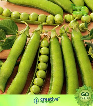 creative farmer Vegetable Seeds Poor Man'S Meat Seeds - Peas Seeds Seeds For Roof Gardening Home Garden Seeds Seed