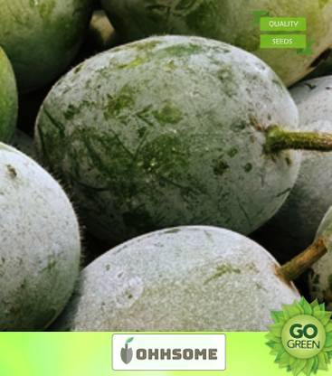 OhhSome Vegetable Seeds Ash Gourd Seeds - Ashgourd Seeds Hybrid For All Seasons Home Garden Seeds Seed