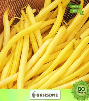 OhhSome Vegetable Seeds Improved Rust Resistance Seeds - Beans Yellow ​ Seeds Seeds For Farming Home Garden Seeds Seed