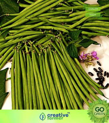 creative farmer Vegetable Seeds Farasbi, Huruli Kayi , Fansi, Fras Bean, French Chikkudu Seeds - French Bean Seeds Garden Seeds Home Garden Seeds Seed