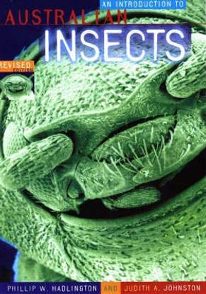 Introduction to Australian Insects