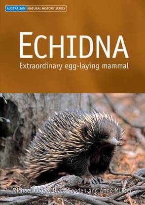Echidna