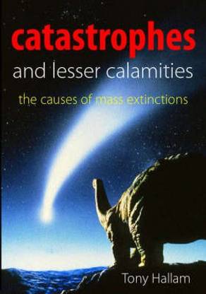 Catastrophes and Lesser Calamities