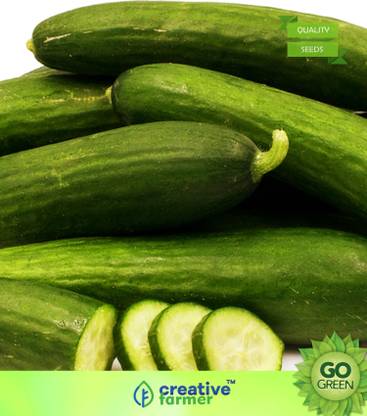 creative farmer Vegetable Seeds Cucumber Kohi Seeds - Cuccumber Seeds Home Garden Seeds Seed