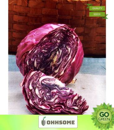 OhhSome Vegetable Seeds Elekosu Seeds - Cabbage Seeds Heirloom Seeds Vegetable Seeds For Rooftop Garden Home Garden Seeds Seed