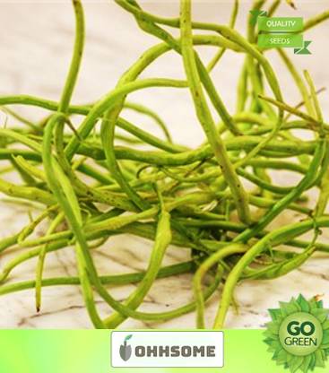 OhhSome Vegetable Seeds Singara Rat'S Tail Radish Seeds - Singra (Mongra) Seeds Home Garden Seeds Seed