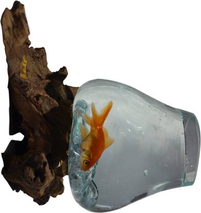 illume 4 L Fish Bowl