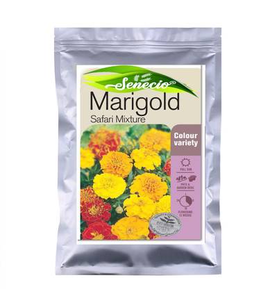 SENECIO® Marigold Safari Mix Seed