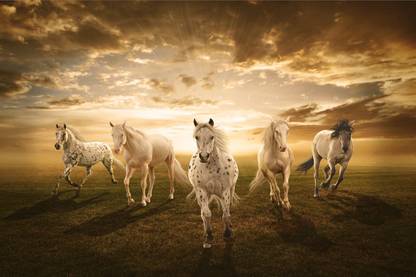 Horses Poster With GumTape to Stick| Running Horse Wallpaper| Horse Poster for Vastu Shastra with Gum Tape Paper Print