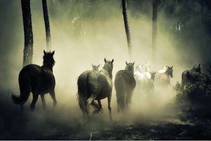 Horses Poster With GumTape to Stick| Running Horse Wallpaper| Horse Poster for Vastu Shastra with Gum Tape Paper Print