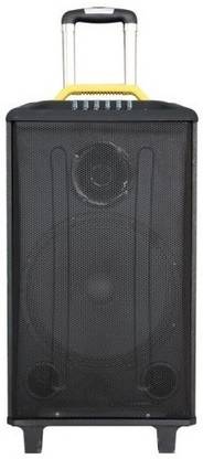Gadget-Wagon 12" 120 W RMS Bluetooth Trolley Speaker USB, FM Radio, 2 Wireless Mics for Karaoke, Recording Option,Echo Control 120 W Bluetooth Home Theatre