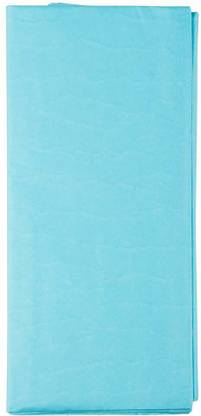 Just Flowers Sky Blue Tissue Paper for Gift/Flowers Packing 24 Inch x 30 Inch - 20 Sheets