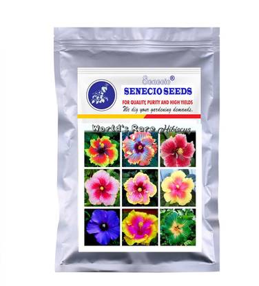 SENECIO® Imported Worlds Rare NINE TYPES OF BEAUTIFUL HIBISCUS PLANT Seed Seed