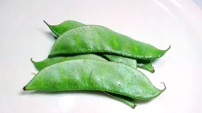 Vegetables Broad Beans, Avarai, Avarakkai Seed
