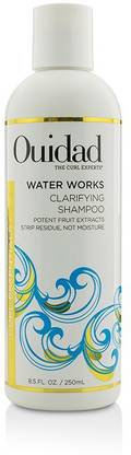 Ouidad Water Works Clarifying Shampoo (Curl Essentials)_831