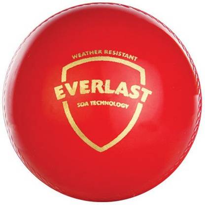 SG EVERLAST Cricket Synthetic Ball