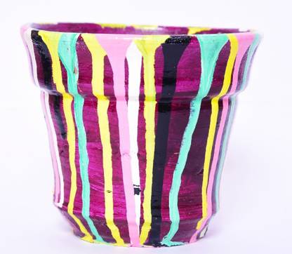 Parijai Genus parijai-HD10016.1 Plant Container Set