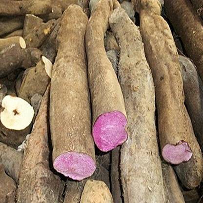 Futaba Yam Organic Vegetable-Purple-50Pcs Seed