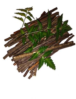 Puspa || NEEM - Datun|Twig|Datwan|Stick || 30 pcs. || Medium Toothbrush