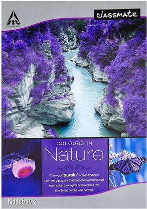 Classmate COLOURS IN NATURE A4 Notebook SINGLE RULE 304 Pages