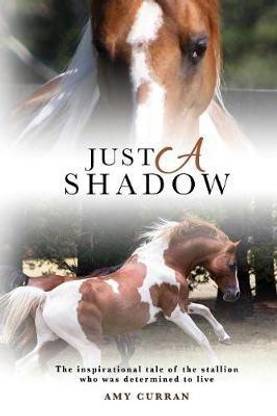 Just A Shadow