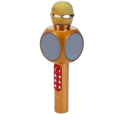 IBS ws-1816 Karaoke Portable Wireless Singing Bluetooth DISCO Recording Mic Party Speaker KTV Memory card slot usb fm radio Microphone