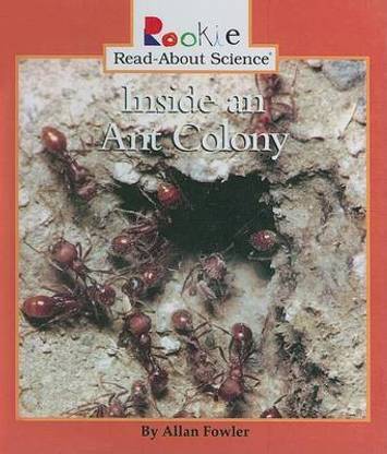 Inside an Ant Colony