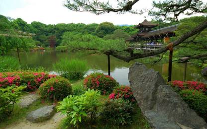 lovely nature pic Fine Art Print