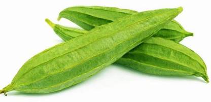 First Crop Ridge Gourd Turai Seeds tori vegetable seeds, Luffa Acutangula Seed