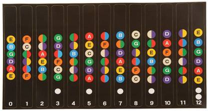 Futurekart 1 Pc Guitar Fretboard Notes Map Labels Fret Sticker Decals For Beginner Learn