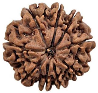 ओम रुद्राक्ष 8 mukhi rudraksha लकड़ी लॉकेट