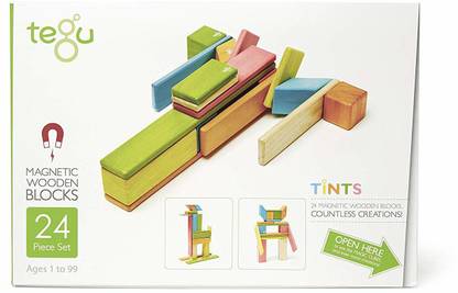 Tegu 24 Piece Magnetic Wooden Block Set Tints