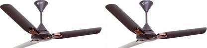 Orient Electric JAZZ TRENDZ BRONZE COPPER with 1 Year Warranty 1200 mm Ceiling Fan