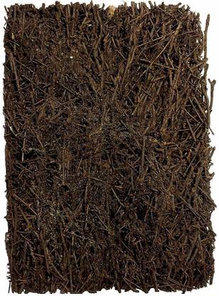 OrchidWala NATURAL Organic Fern Block Rectangle - Best Uses for Orchid Hanging I Orchid Growing I Vanda Hanging I Light Weight I Size 6 x 4 x 2 Inches I 100% Natural Product Plant Container Set