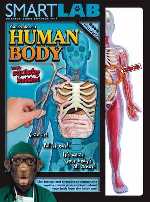 Smartlab You Explore It: Human Body Model