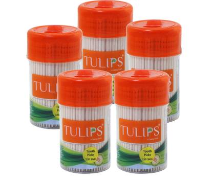 Tulips 250 Wooden Toothpicks in a Reusable Jar