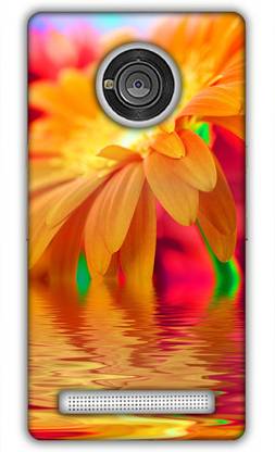 Manharry Back Cover for Yu Yuphoria