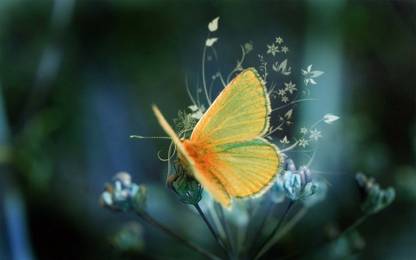 BEAUTIFUL PIC Fine Art Print