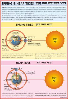 Geography charts - Spring and Neap Tides Paper Print