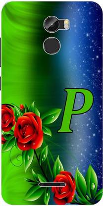 Dreamcase Back Cover for Gionee X1
