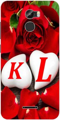 Dreamcase Back Cover for Gionee X1