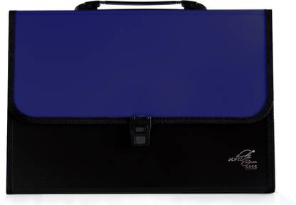 White Platinum Plastic Plastic File Folder with 13 Pockets, Handle, Index Tab, A4 Size