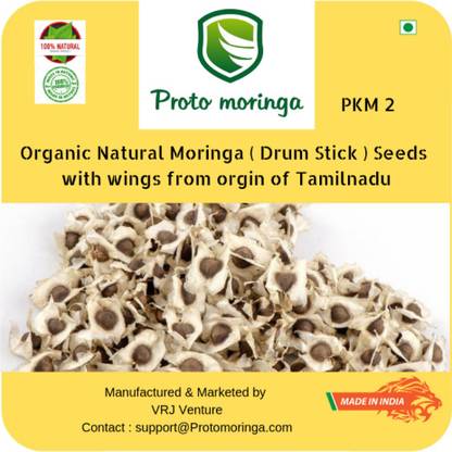 Proto Moringa Moringa Seeds PKM2-1kg Seed