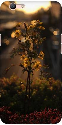 GADGET HUB Back Cover for Oppo F1s