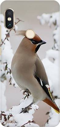 GADGET HUB Back Cover for Mi Redmi Note 5 Pro