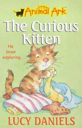 The Curious Kitten